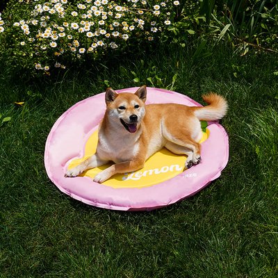 ZEZE ZEZE Lemon Cooling Dog & Cat Bed