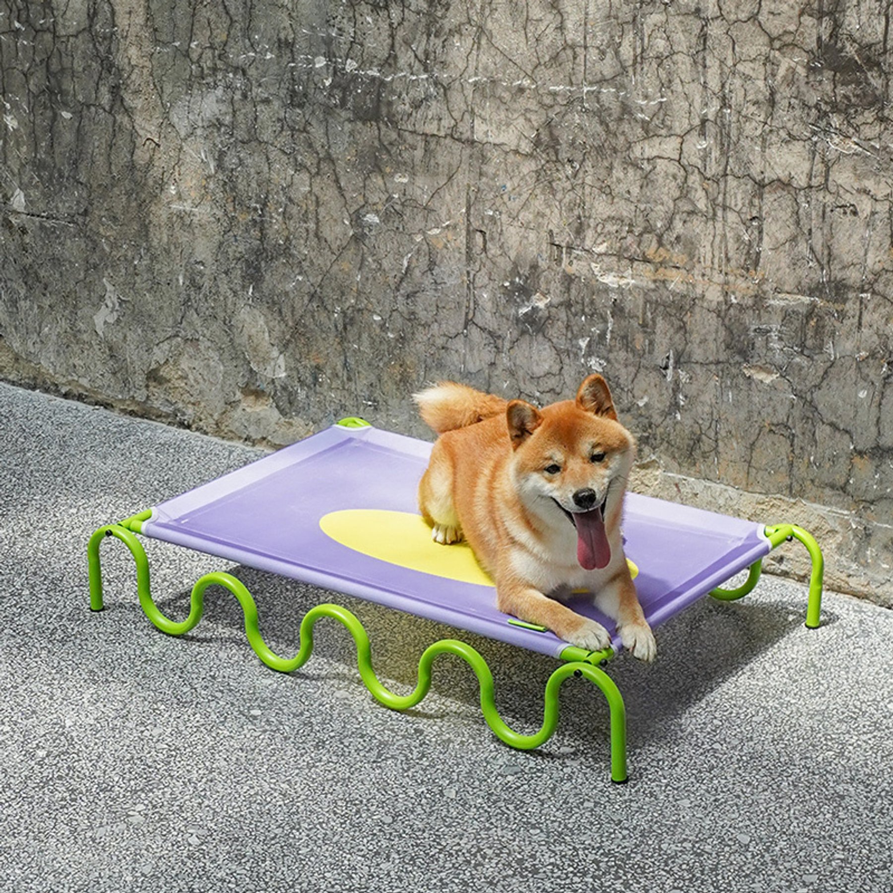 ZEZE Wavy Army Elevated Dog & Cat Bed, Purple/Yellow