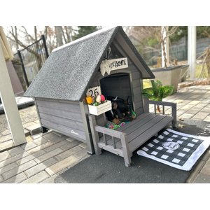 Aivituvin Strong Iron Frame Outdoor Dog House with Porch, Small, Gray