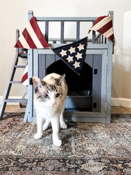 Aivituvin Outdoor & Indoor Cat House slide 2 of 9