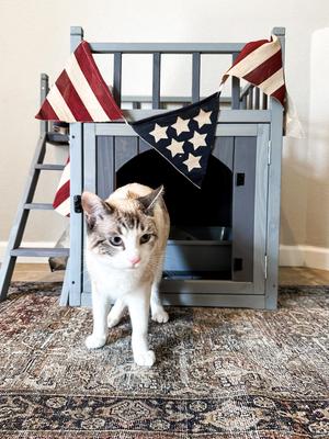 Show full view: Aivituvin Outdoor & Indoor Cat House slide 10 of 11