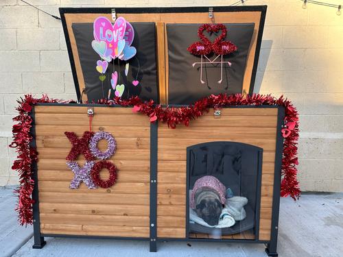 Show full view: Aivituvin AIR63-IN Insulated Dog House, Brown slide 8 of 10