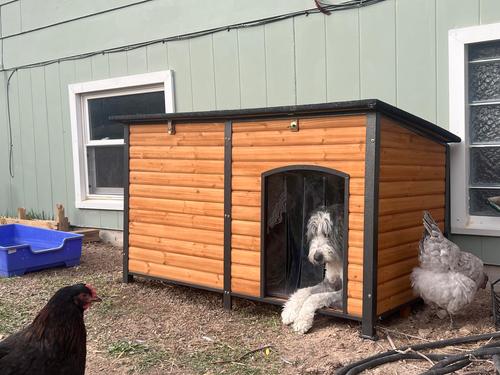 Show full view: Aivituvin AIR63-IN Insulated Dog House, Brown slide 9 of 10