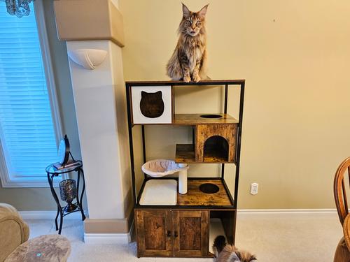 Show full view: Aivituvin AIR102 Wooden 3-Story Cat Condo with Litter Box, Brown slide 4 of 11