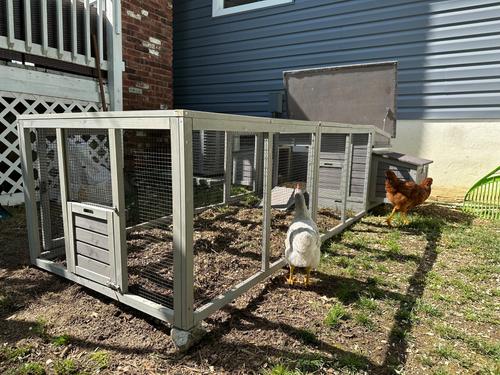 Show full view: Aivituvin AIR45 Large Hen House with Run, 4 to 6 Chicken Capacity slide 8 of 10