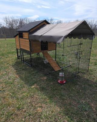 Show full view: Aivituvin AIR7006 Wooden Tractor Chicken Coop with Metal Frame, 6 to 10 Chicken Capacity slide 8 of 11