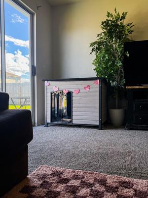 Show full view: Aivituvin Insulated Liner Inside Outdoor Dog House, Off White, Large slide 9 of 12