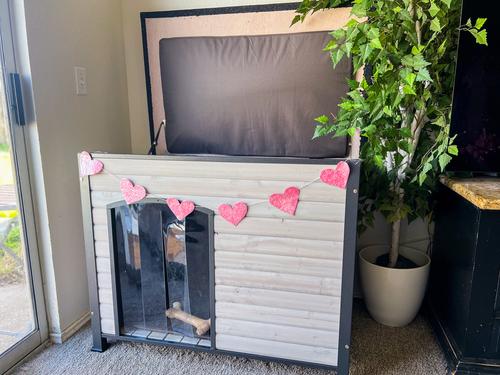 Show full view: Aivituvin Insulated Liner Inside Outdoor Dog House, Off White, Large slide 7 of 12