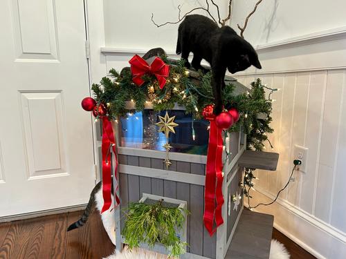 Show full view: Aivituvin for Feral Cats Two Tier Wooden Cat House slide 10 of 11