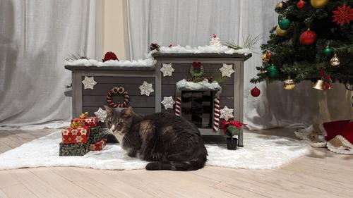 Show full view: Aivituvin Insulated Warm Liner for Outside Winter Cat House slide 10 of 12