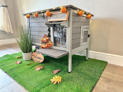 Show full view: Aivituvin Insulated Warm Liner Inside Outdoor Cat House slide 9 of 10