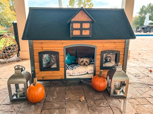 Show full view: Aivituvin Premium Wooden Iron Frame & Asphalt Roof Dog House slide 7 of 10