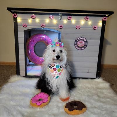 Show full view: Aivituvin Heavy Duty Wooden Iron Frame Dog House, Off White slide 8 of 9