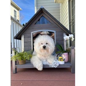 Aivituvin Strong Iron Frame Outdoor Dog House with Porch, Small, Gray