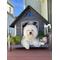 Show in main carousel: Aivituvin Strong Iron Frame Outdoor Dog House with Porch, Small, Gray slide 8 of 11