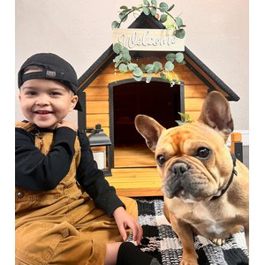 Aivituvin Strong Iron Frame Outdoor Dog House with Porch, Small, Brown