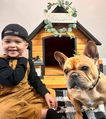 Show full view: Aivituvin Strong Iron Frame Outdoor Dog House with Porch, Small, Brown slide 9 of 11