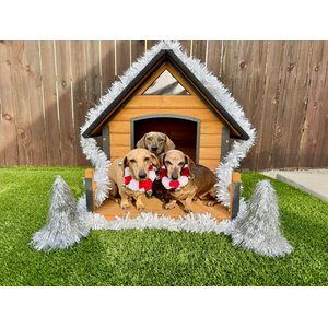 Aivituvin Strong Iron Frame Outdoor Dog House with Porch, Small, Brown