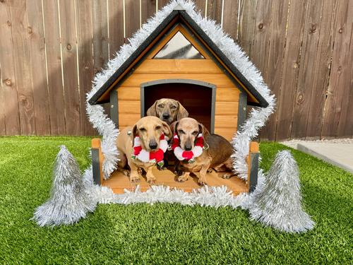 Show full view: Aivituvin Strong Iron Frame Outdoor Dog House with Porch, Small, Brown slide 8 of 11