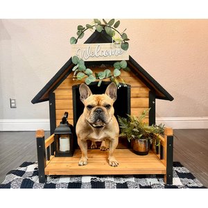 Aivituvin Strong Iron Frame Outdoor Dog House with Porch, Small, Brown
