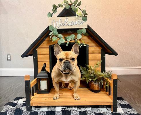 Show full view: Aivituvin Strong Iron Frame Outdoor Dog House with Porch, Small, Brown slide 7 of 11