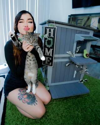 Show full view: Aivituvin AIR14-1 Two Tier Wooden Cat House with Waterproof Roof & Door Flaps, Grey, Small slide 8 of 11