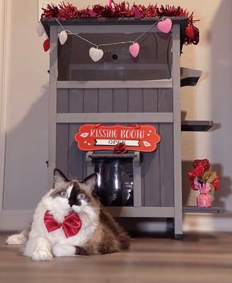 Show full view: Aivituvin AIR14-1 Two Tier Wooden Cat House with Waterproof Roof & Door Flaps, Grey, Small slide 7 of 11