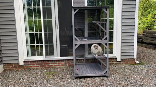 Show full view: Aivituvin Catio Outdoor Cat House slide 8 of 11