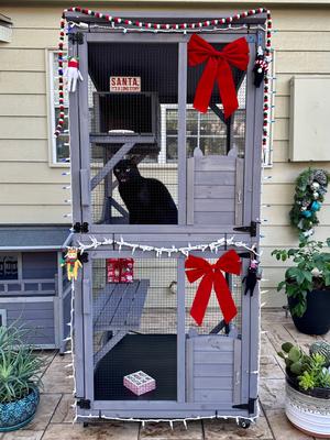 Show full view: Aivituvin Catio Outdoor Cat House slide 7 of 11