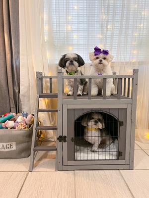 Show full view: Aivituvin Outdoor & Indoor Cat House slide 9 of 11