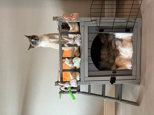 Show full view: Aivituvin Outdoor & Indoor Cat House slide 8 of 11