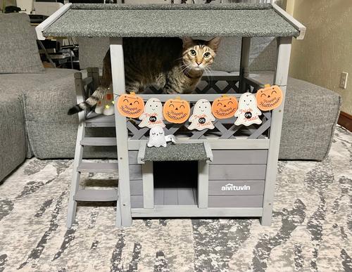 Show full view: Aivituvin Outdoor & Indoor Cat House slide 9 of 11