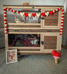 Aivituvin AIR34 Indoor & Outdoor Bunny & Rabbit Hutch