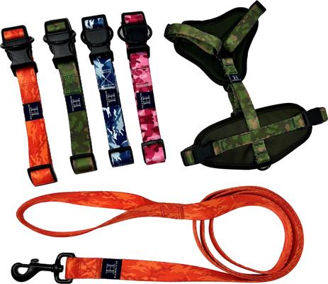 Show full view: Hamilton Go Boldy Camouflage Adjustable Polyester Standard Dog Leash, Blue, Medium/Large: 6-ft long, 1-in wide slide 5 of 7