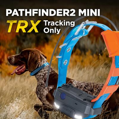 Show full view: Dogtra Pathfinder 2 Mini TRX Dog GPS Tracking Receiver Collar, Blue slide 5 of 6