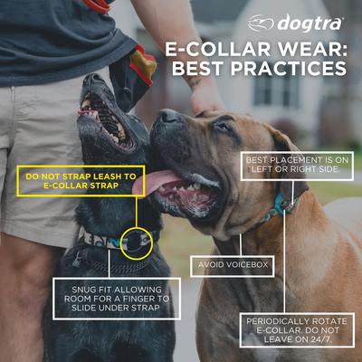 Show full view: Dogtra CUE Gen 2 Waterproof Vibration Customizable Remote Dog Training Collar, Grey slide 3 of 10