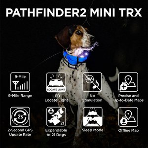 Dogtra Pathfinder 2 Mini TRX Dog GPS Tracking Receiver Collar, Blue