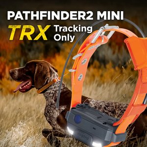 Dogtra Pathfinder 2 Mini TRX Dog GPS Tracking Receiver Collar, Orange