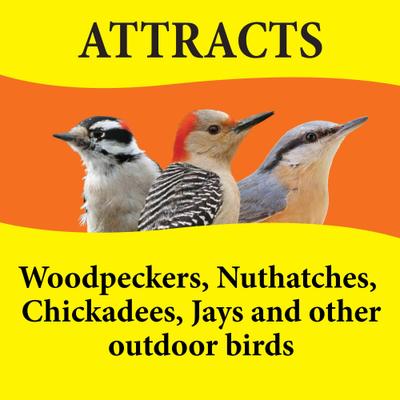 Show full view: Wild Delight Woodpecker Nut Bar Bird Food, 10-oz bag slide 5 of 9