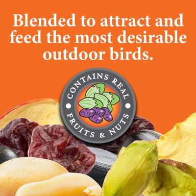 Show full view: Wild Delight Woodpecker Nut Bar Bird Food, 10-oz bag slide 3 of 9