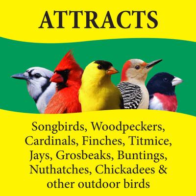 Show full view: Wild Delight Nut N' Berry Block Wild Bird Food, 13-oz bag slide 5 of 9