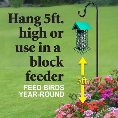 Show full view: Wild Delight Nut N' Berry Block Wild Bird Food, 13-oz bag slide 7 of 9