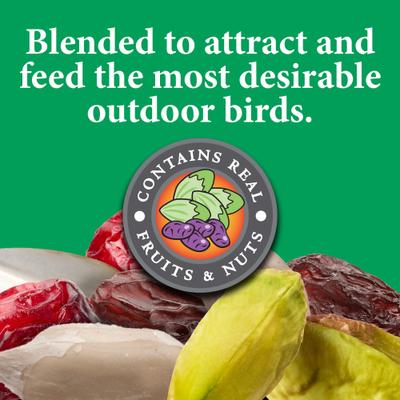 Show full view: Wild Delight Nut N' Berry Block Wild Bird Food, 13-oz bag slide 3 of 9