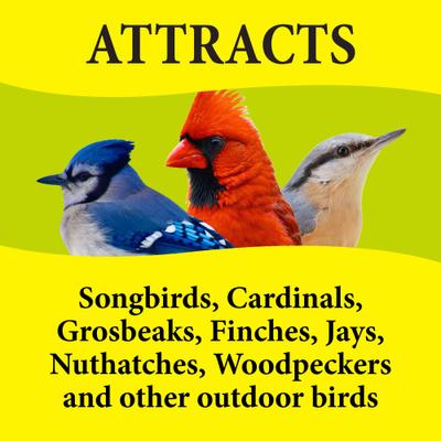 Show full view: Wild Delight Deck, Porch N' Patio Block Wild Bird Food, 16-oz bag slide 5 of 9