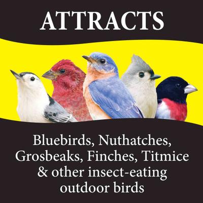 Show full view: Wild Delight Bugs N' Berries Block Wild Bird Food, 12-oz bag slide 5 of 9