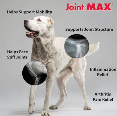 Show full view: Joint MAX Triple Strength Hypo-Allergenic Granules for Dogs, 120 doses slide 4 of 12