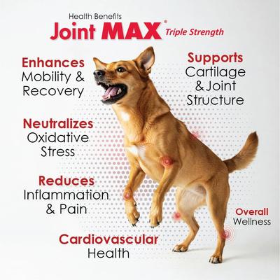Show full view: Joint MAX Liquid for Dogs, 32-fl oz slide 5 of 12