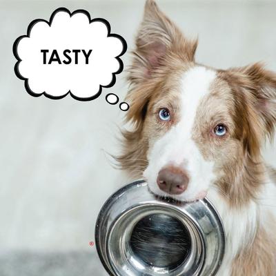 Show full view: Joint MAX Triple Strength Hypo-Allergenic Granules for Dogs, 120 doses slide 5 of 12