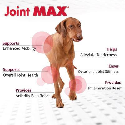 Show full view: Joint MAX Triple Strength Granules for Dogs, 120 doses slide 4 of 12