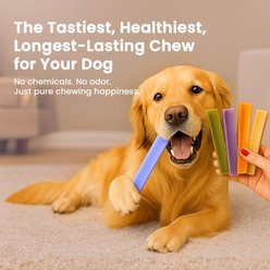 Kathmandus Blueberry Flavored Yak Dog Chew Treats, Large: 6-in, 4 count slide 2 of 9